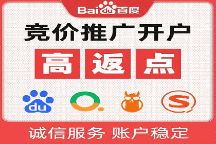 知名SEM运营公司实战案例解析